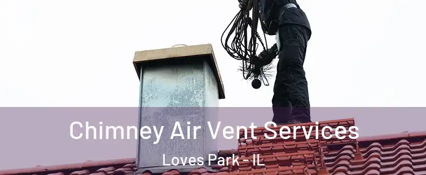  Chimney Air Vent Services Loves Park - IL