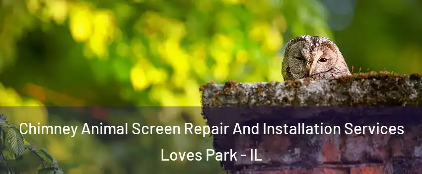  Chimney Animal Screen Repair And Installation Services Loves Park - IL