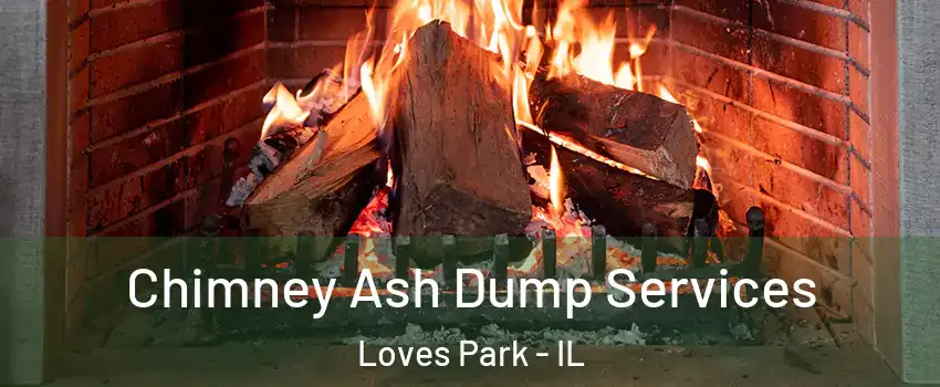  Chimney Ash Dump Services Loves Park - IL