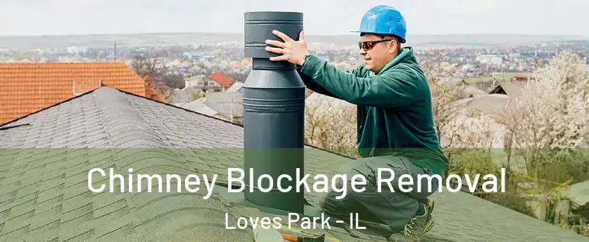  Chimney Blockage Removal Loves Park - IL