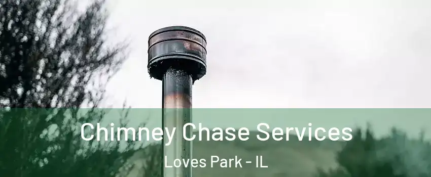  Chimney Chase Services Loves Park - IL