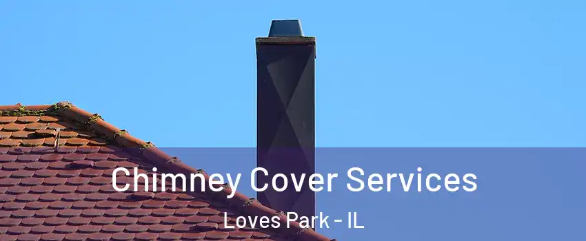  Chimney Cover Services Loves Park - IL