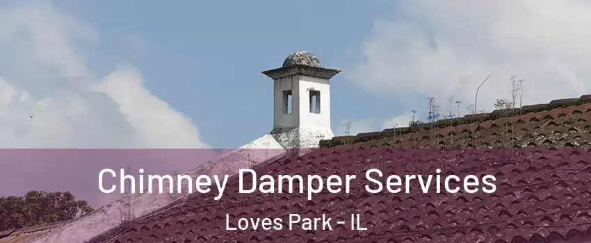  Chimney Damper Services Loves Park - IL
