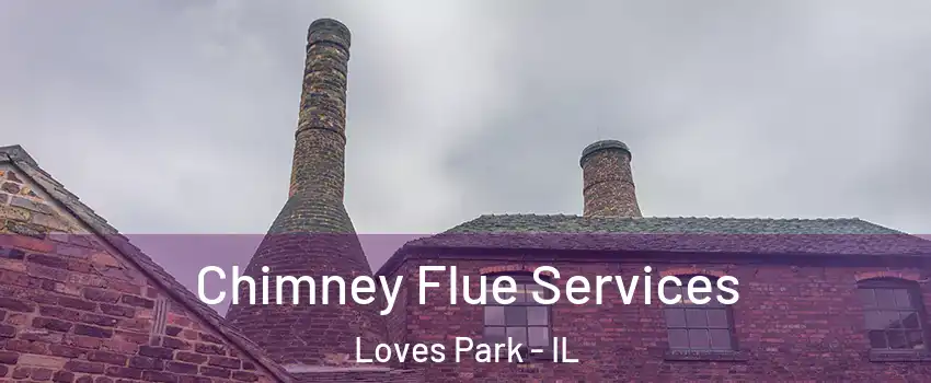  Chimney Flue Services Loves Park - IL