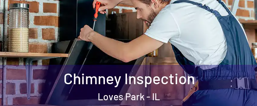  Chimney Inspection Loves Park - IL