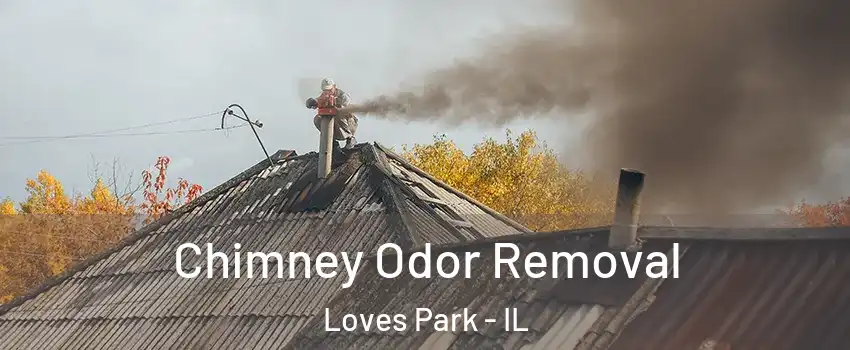  Chimney Odor Removal Loves Park - IL