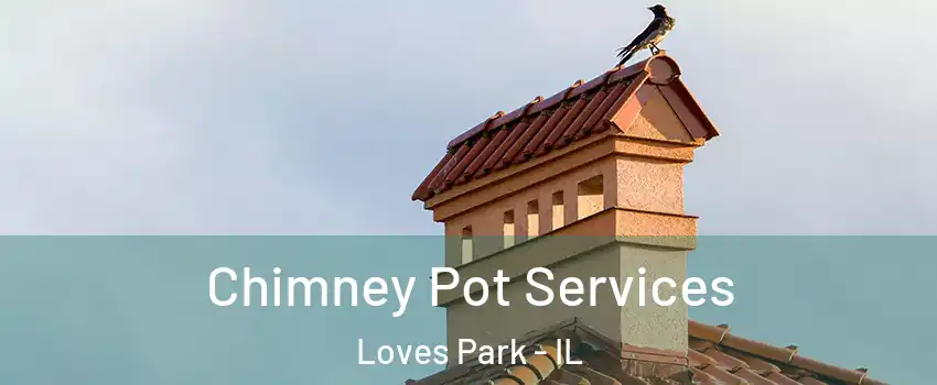  Chimney Pot Services Loves Park - IL
