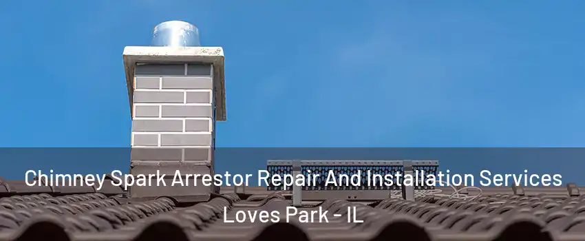  Chimney Spark Arrestor Repair And Installation Services Loves Park - IL