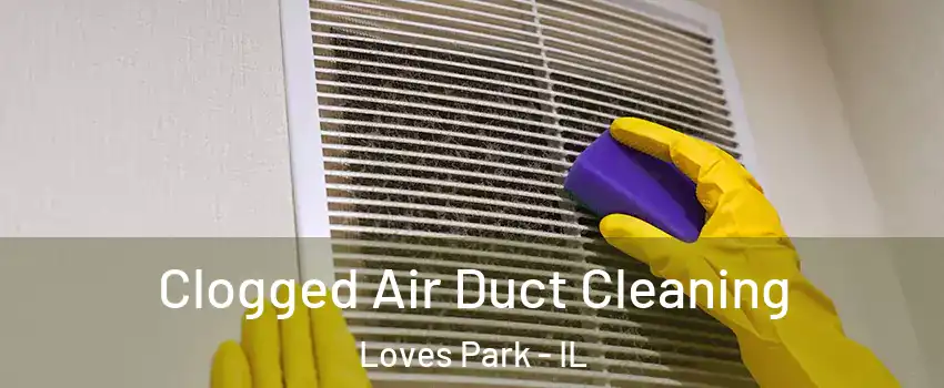  Clogged Air Duct Cleaning Loves Park - IL