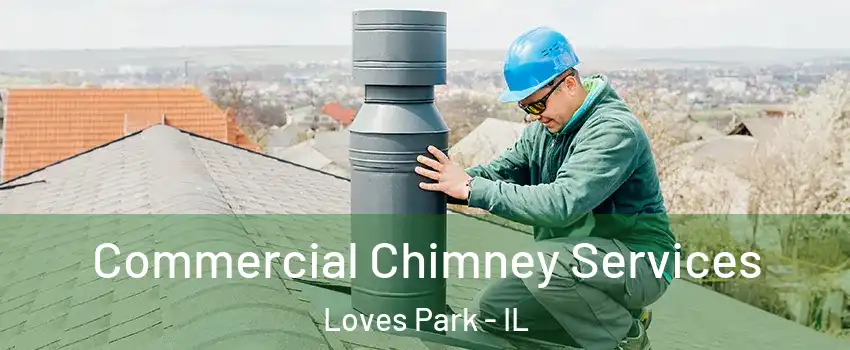  Commercial Chimney Services Loves Park - IL