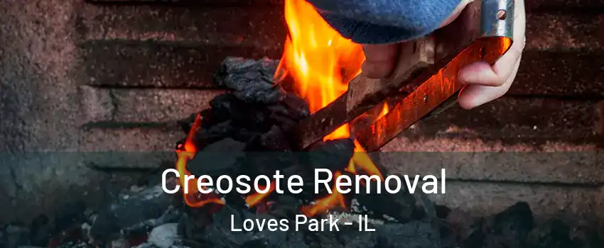  Creosote Removal Loves Park - IL