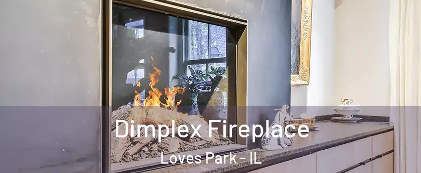  Dimplex Fireplace Loves Park - IL