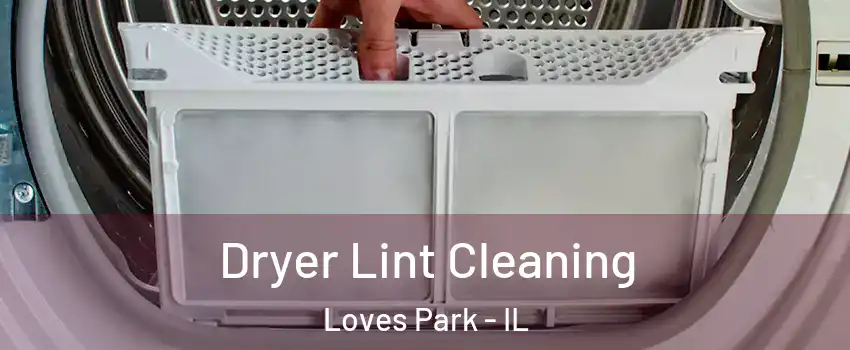  Dryer Lint Cleaning Loves Park - IL