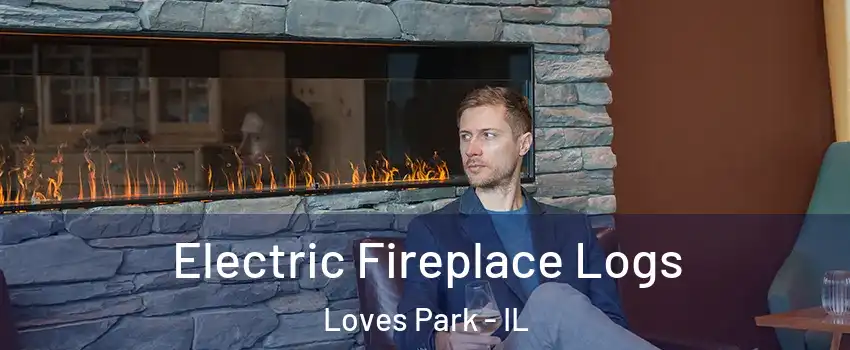  Electric Fireplace Logs Loves Park - IL