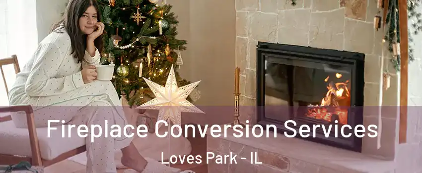  Fireplace Conversion Services Loves Park - IL