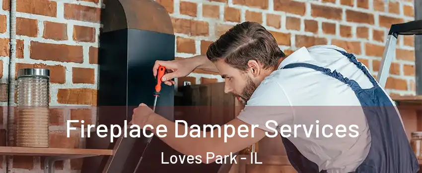  Fireplace Damper Services Loves Park - IL