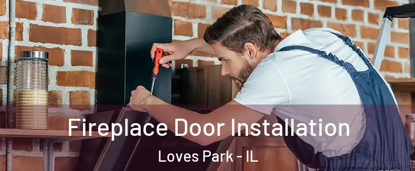  Fireplace Door Installation Loves Park - IL