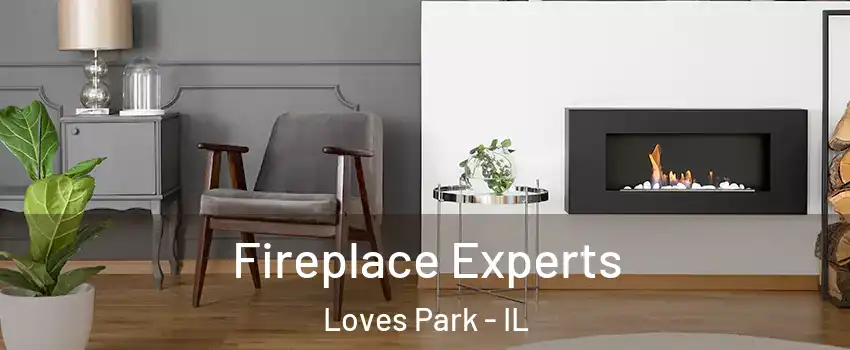  Fireplace Experts Loves Park - IL