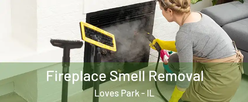  Fireplace Smell Removal Loves Park - IL