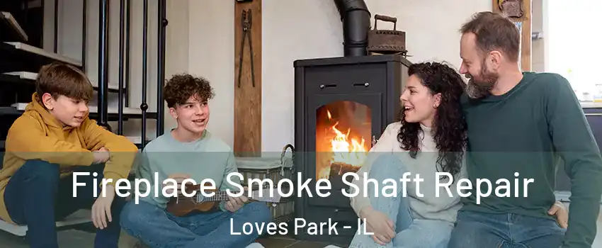  Fireplace Smoke Shaft Repair Loves Park - IL