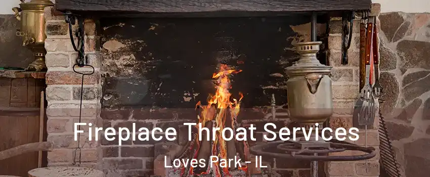  Fireplace Throat Services Loves Park - IL