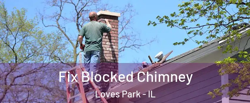  Fix Blocked Chimney Loves Park - IL