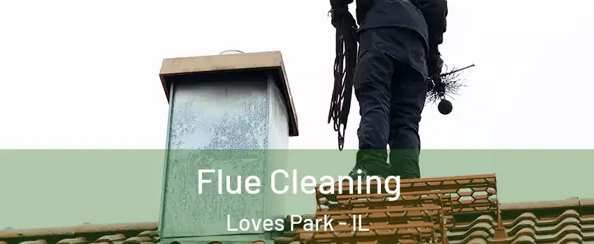  Flue Cleaning Loves Park - IL