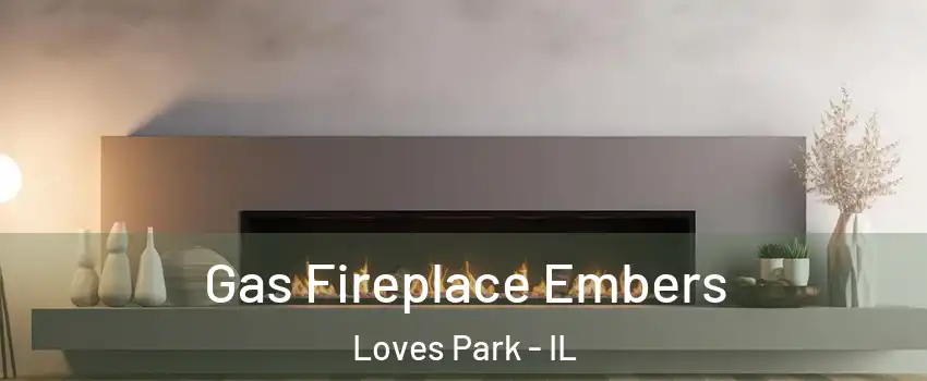  Gas Fireplace Embers Loves Park - IL