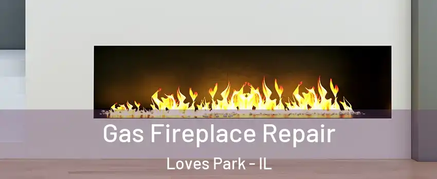  Gas Fireplace Repair Loves Park - IL