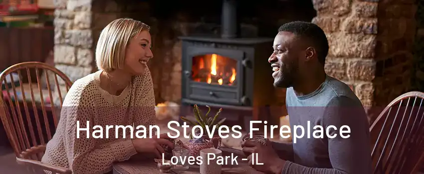  Harman Stoves Fireplace Loves Park - IL