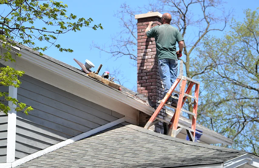 Chimney & Fireplace Inspections Services in Loves Park, IL
