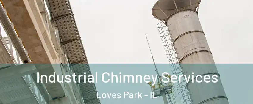  Industrial Chimney Services Loves Park - IL