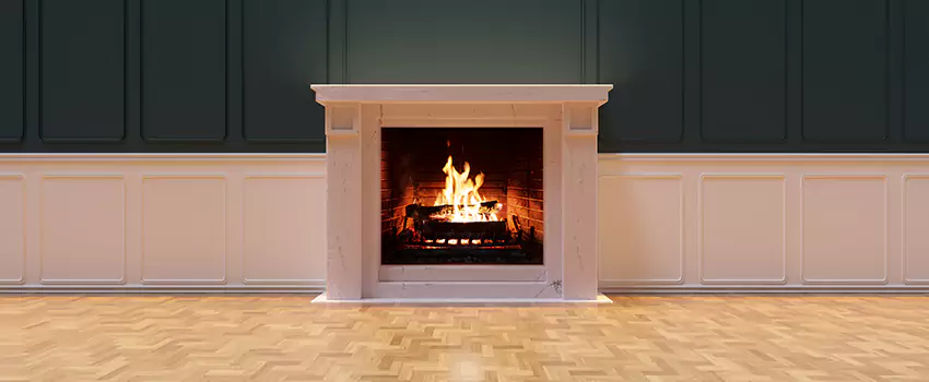 Napoleon Electric Fireplaces Inspection Service in Loves Park, Illinois