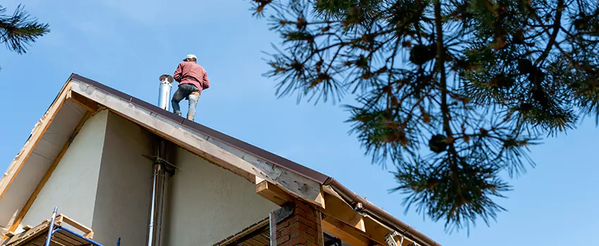 Birds Removal Contractors from Chimney in Loves Park, IL