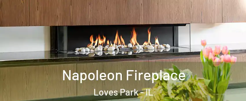  Napoleon Fireplace Loves Park - IL