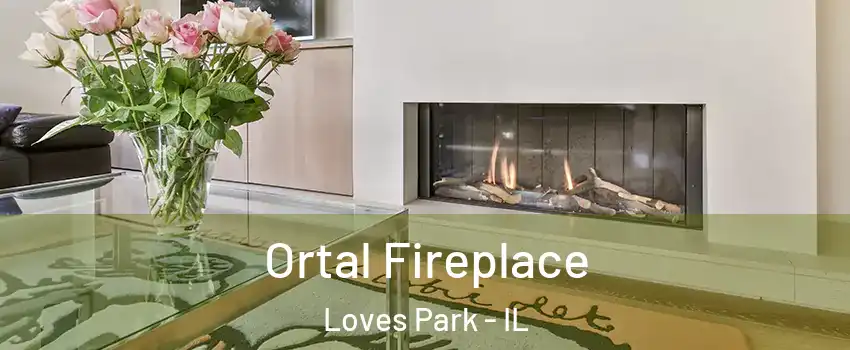  Ortal Fireplace Loves Park - IL