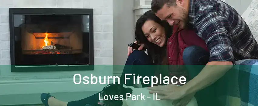  Osburn Fireplace Loves Park - IL
