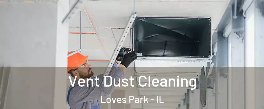  Vent Dust Cleaning Loves Park - IL