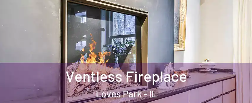  Ventless Fireplace Loves Park - IL